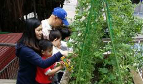 園藝治療-與植物的親蜜接觸